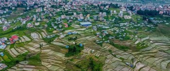 घरजग्गाको कारोबारमा सुधार, फागुनमा मात्र चार अर्ब १२ करोड राजस्व उठ्यो