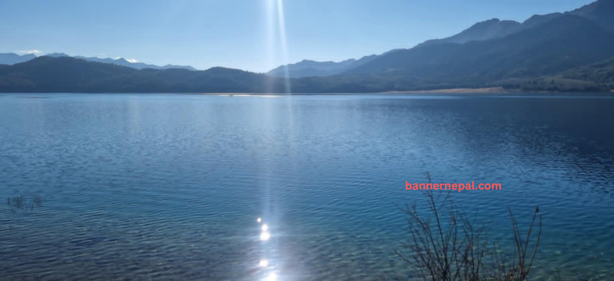 mugu-rara-2-1741763224.png