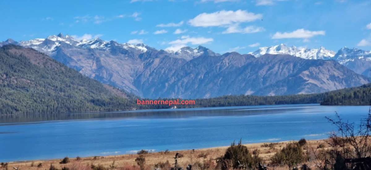 rara-1-1741763282.png
